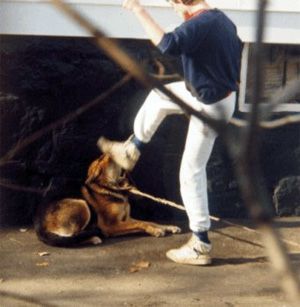A influência das crueldades com animais na violência